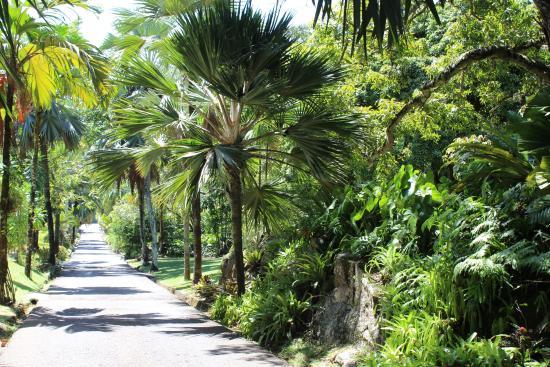 Seychelles National Botanical Gardens